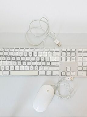 Apple Wired Aluminum Keyboard A1243 & Mighty Mouse A1152 Bundle - Tested